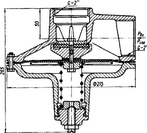 Рис.1. Схема сбросного клапана PN 1,25